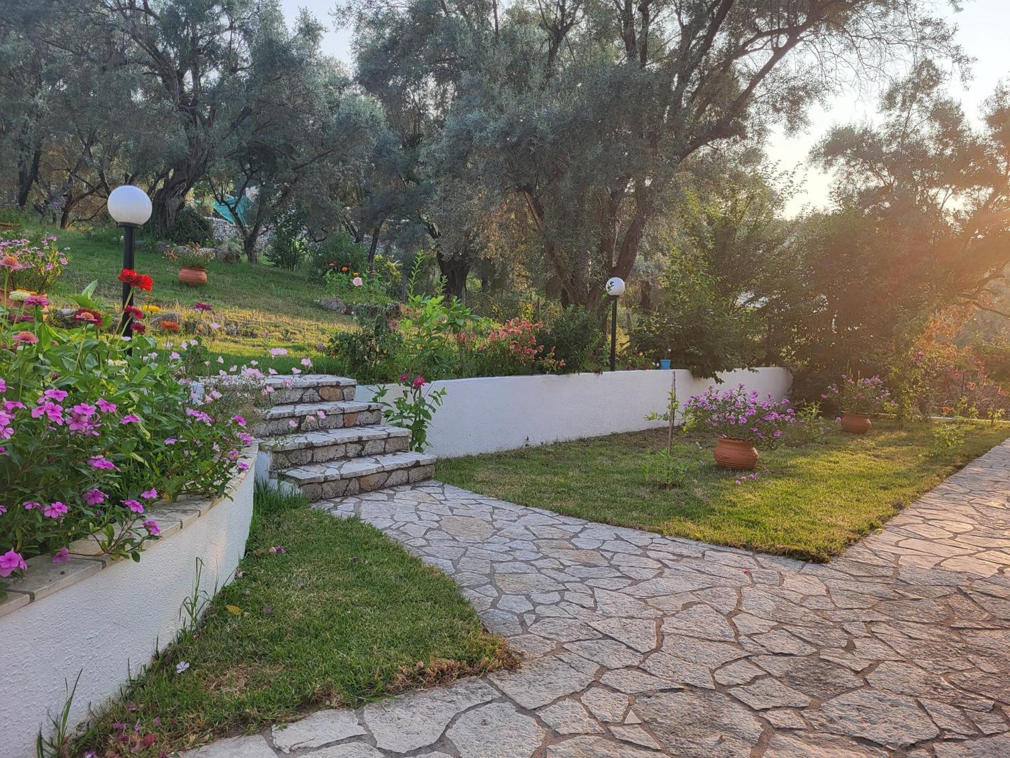 Dimitra Studios Lefkáda Dış mekan fotoğraf