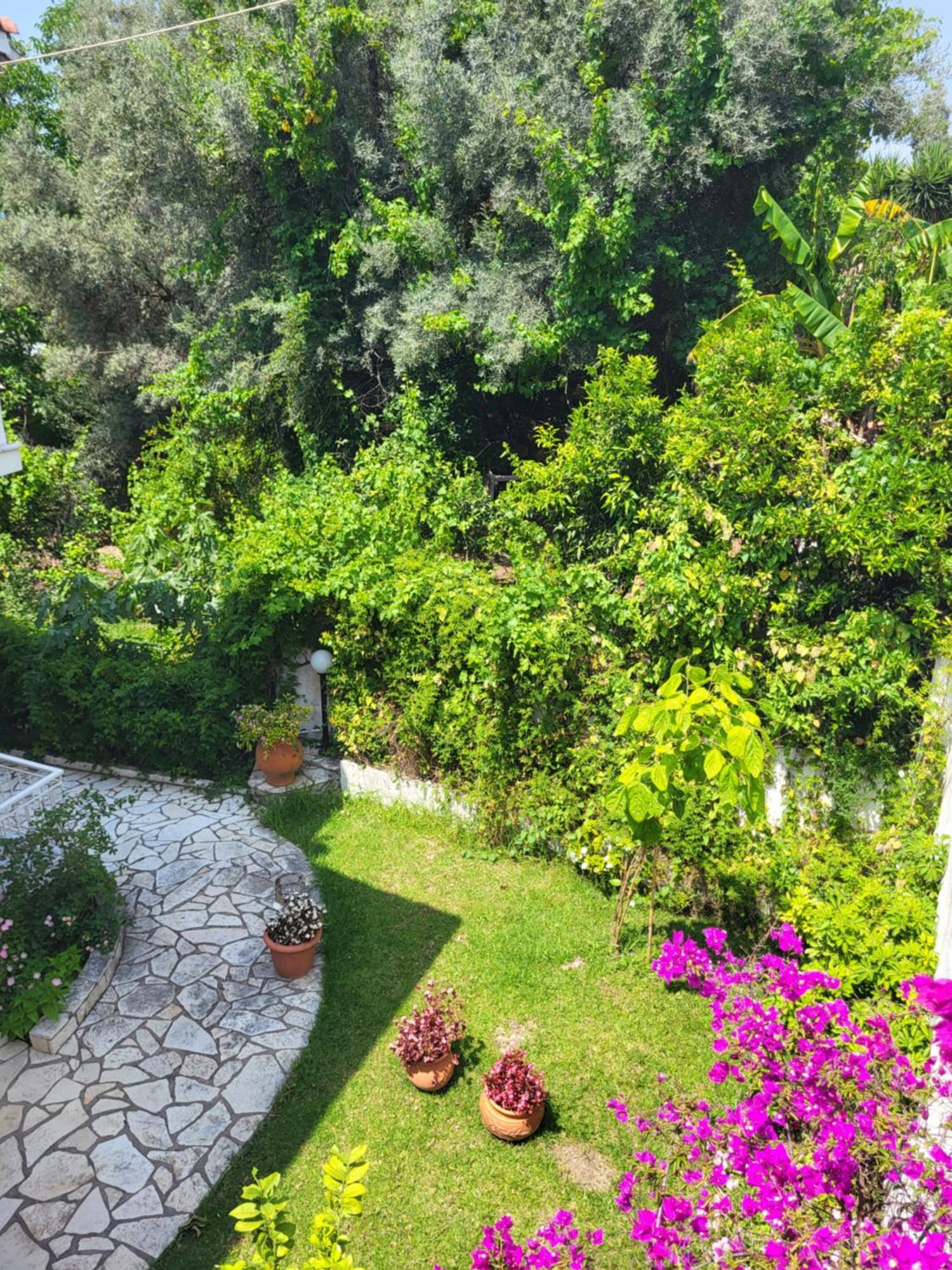 Dimitra Studios Lefkáda Dış mekan fotoğraf